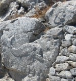 Ancient Thira 2 * 559 x 600 * (113KB)